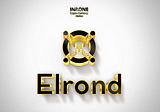Elrond: the strength of the team and its community!