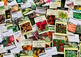 Things We Save: Pine Needles, Seed Packets, and Hope