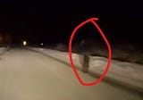 A Shape-Shifting Creature Caught on Camera