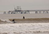 Restoring the Harbour: A Healthier Home for Fish and Cleaner Waves for Surfers