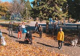 How our Ottawa Global Shapers Hub adopted a local park
