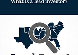 What is a lead investor?