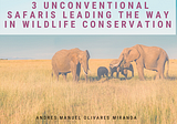3 Unconventional Safaris Leading the Way in Wildlife Conservation