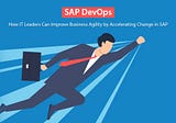 How IT Leaders Can Improve Business Agility by Accelerating Change in SAP