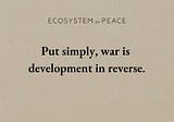 The Missing Peace: Making Sustainable Development Work