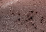 The Mystery of the ‘Martian Spiders’