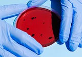 The questions influenza transmission research raises about Covid-19