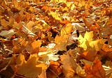 Autumn Day by Rainer Maria Rilke