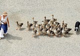 Social Regression