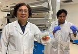 New Biodegradable, Sustainable and Microbe-Killing Food Packaging