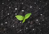 The Potential of Blockchain for Environmental Sustainability