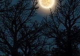 Moonlight Frolics — by Unma Jajodia