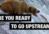 Going Upstream