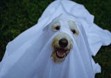 7 Underrated Halloween Costumes