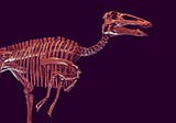 Hadrosaurs: The ‘Duckbills’ of the Cretaceous