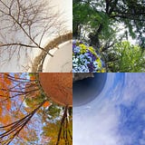 About Being There
