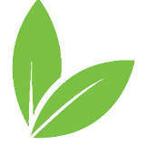 About Germinadora