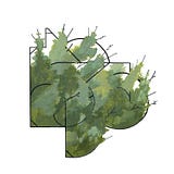 Betaworks