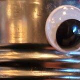 Chronicles of Absurdity