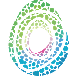 Cocoon Pro