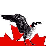 CanadEH