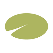 Medium profile picture for @typepad