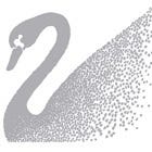 Medium profile picture for @swarovski