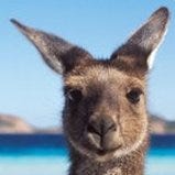 Medium profile picture for @Australia