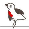 Medium profile picture for @ioan