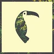 Medium profile picture for @tropical