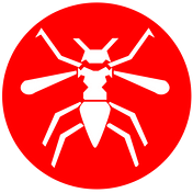 Mosquito Coin