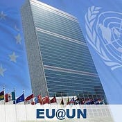 EU Delegation to UN