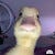 Medium profile picture for @rossell