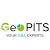 Geo Platinum IT Services - GeoPITS