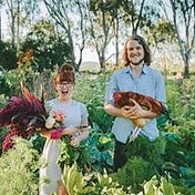 Lentil Tennille Purbrick