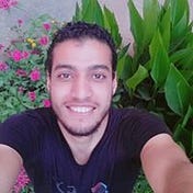 Alaa El Zoghby