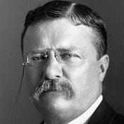 Teddy Roosevelt