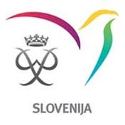 Program MEPI - Mednarodno priznanje za mlade Slovenija