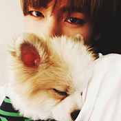 Medium profile picture for @taehyung