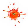 Medium profile picture for @Tomatoes
