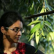 Jayalakshmi Hegde