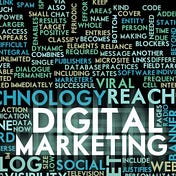 SEO Education