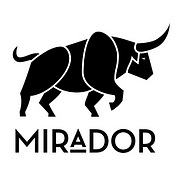 Mirador Technologies