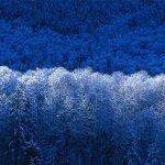 Sameera Medagammaddegedara