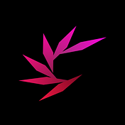 Medium profile picture for @cinder
