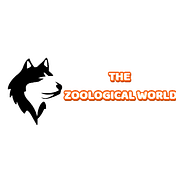 Zoological World