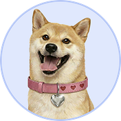 DogeGF