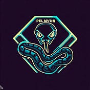 Python Code Nemesis
