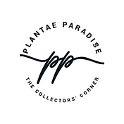 Plantae Paradise