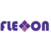 Flexxon Global